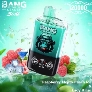 BANG LEADER STOLL 120K Puffs 1