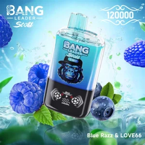 BANG LEADER STOLL 120K Puffs 3