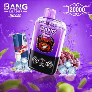 BANG LEADER STOLL 120K Puffs 5