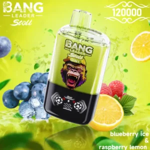 BANG LEADER STOLL 120K Puffs 6