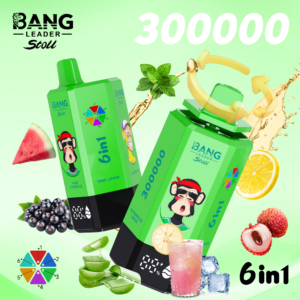 BANG LEADER STOLL 300K Puffs 2