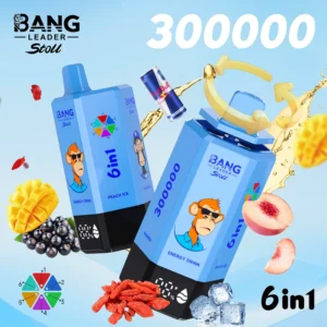 BANG LEADER STOLL 300K Puffs 4