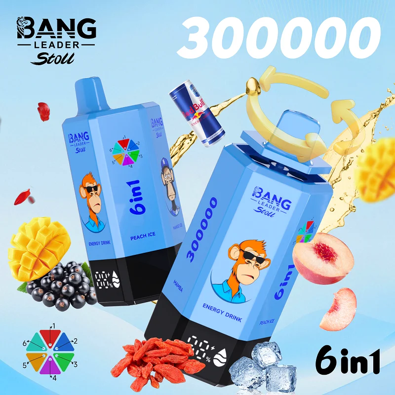 BANG LEADER STOLL 300K 6in1 - 画像 (4)