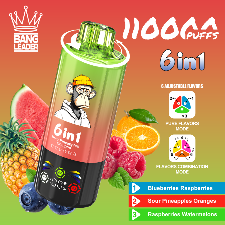 Bang Leader 110K Puffs 6 in 1 1
