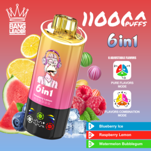 Bang Leader 110K Puffs 6 in 1 2