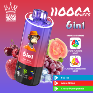 Bang Leader 110K Puffs 6 in 1 3