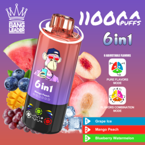 Bang Leader 110K Puffs 6 in 1 4