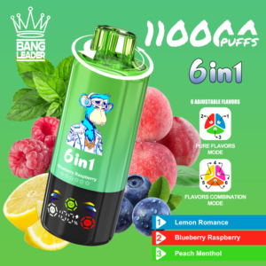 Bang Leader 110K Puffs 6 in 1 5