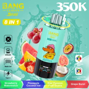 Alternative view of Bang Leader 350K Puffs Stoll