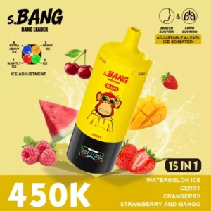 Bang Leader 450K Puffs 15 in 1 1