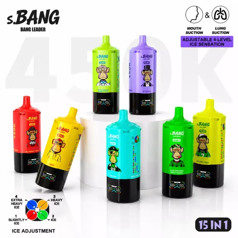Bang Leader 450K Puffs 15 in 1 4