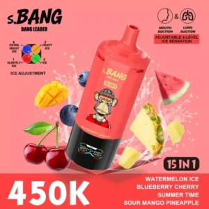Bang Leader 450K Puffs 15 in 1 5