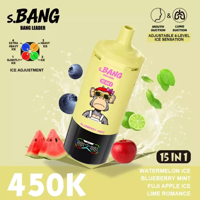 Bang Leader 450K Puffs 15 in 1 6