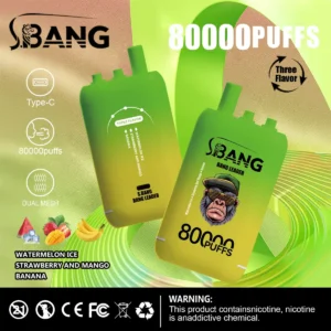 Bang Leader 80000 Puffs 3 w 1 10