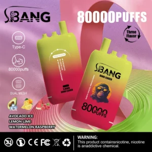 Bang Leader 80000 Puffs 3 w 1 12