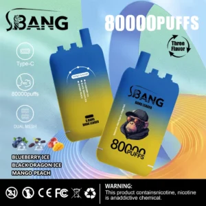 Bang Leader 80000 Puffs 3 w 1 13