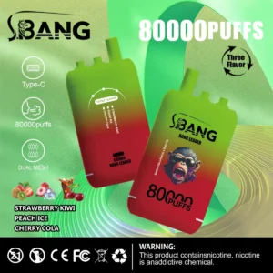 Bang Leader 80000 Puffs 3 w 1 9