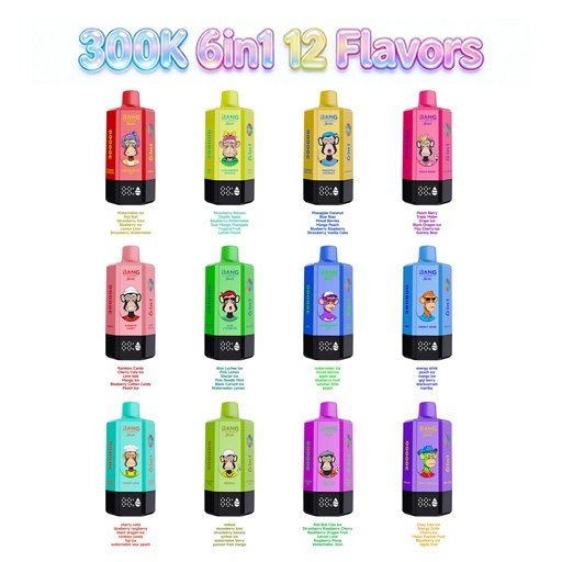 BANG LEADER STOLL 300K 6in1 電子タバコ おすすめ / vape 通販