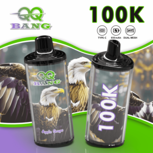 QQbang 100K 3